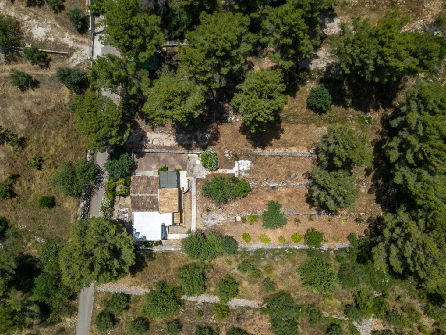 Country house for sale in Parcent: large plot, tranquil escape