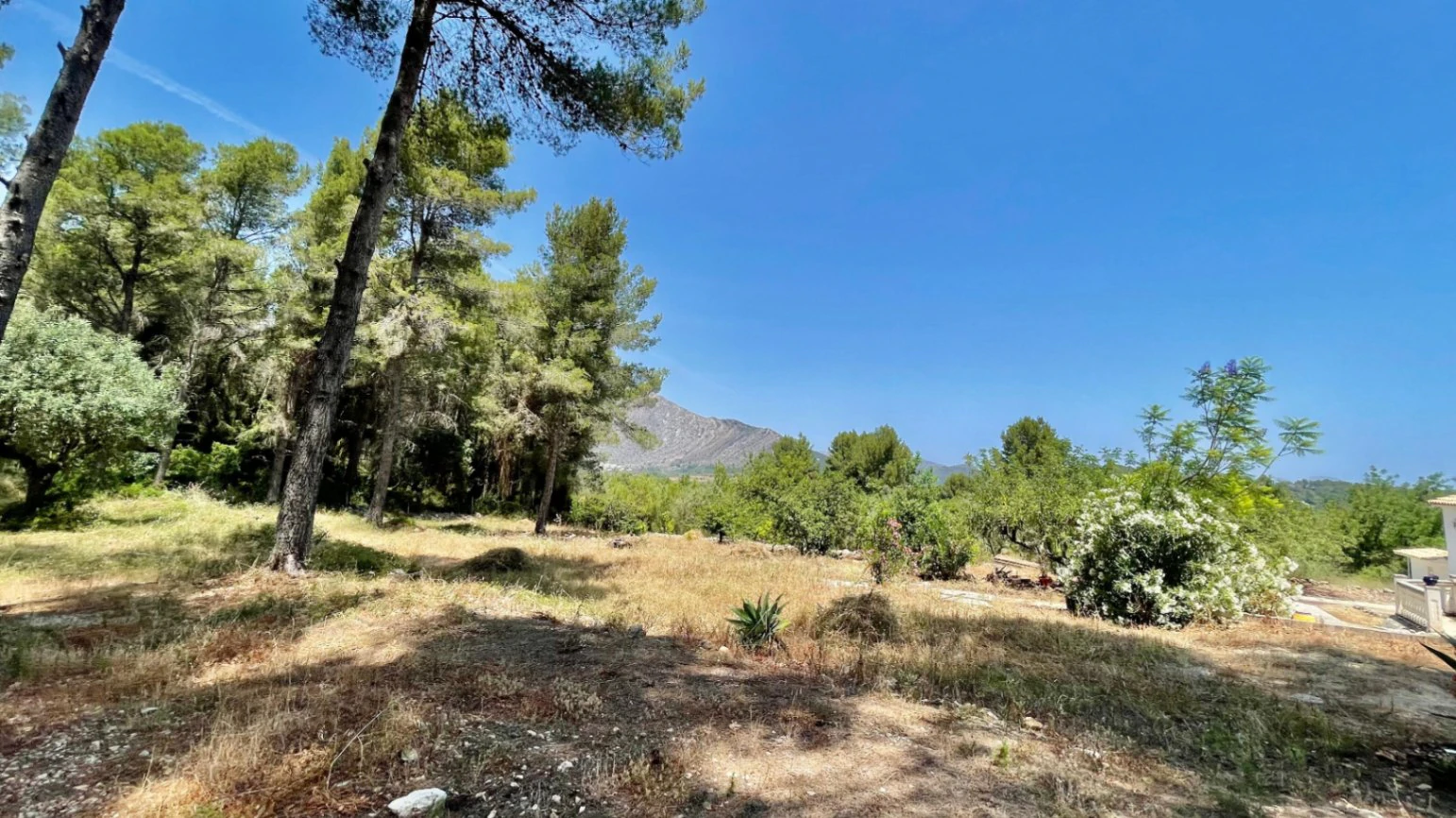 Country house for sale in Parcent: large plot, tranquil escape