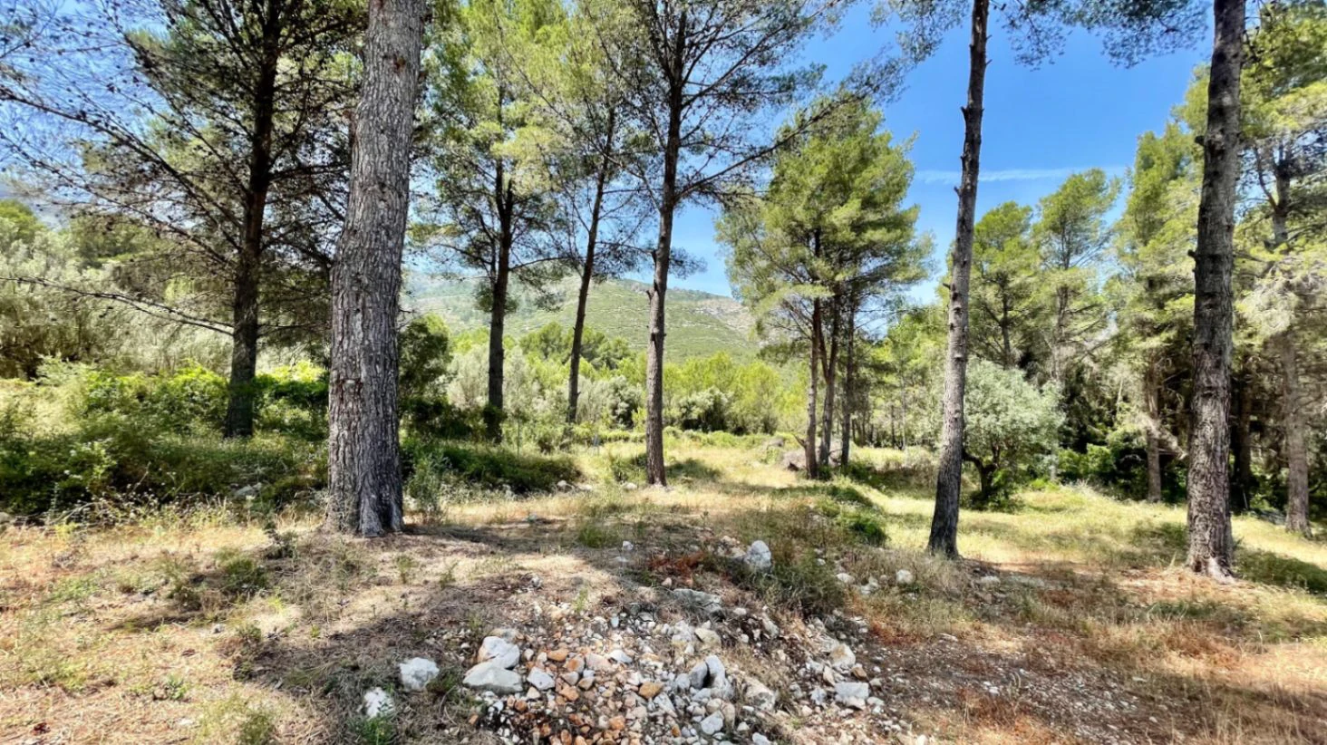Country house for sale in Parcent: large plot, tranquil escape