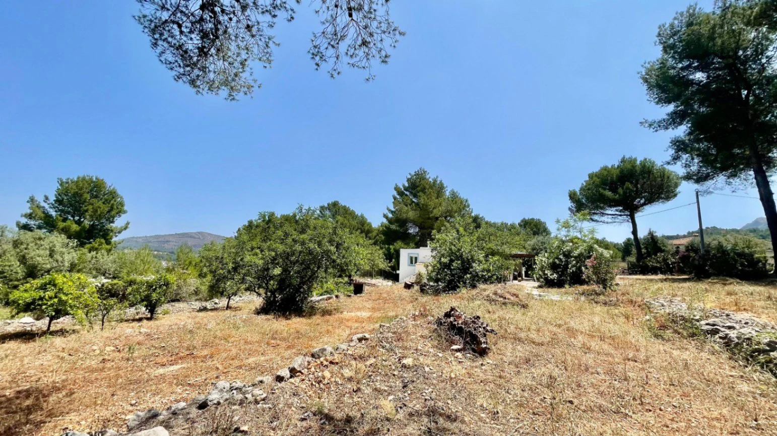 Country house for sale in Parcent: large plot, tranquil escape