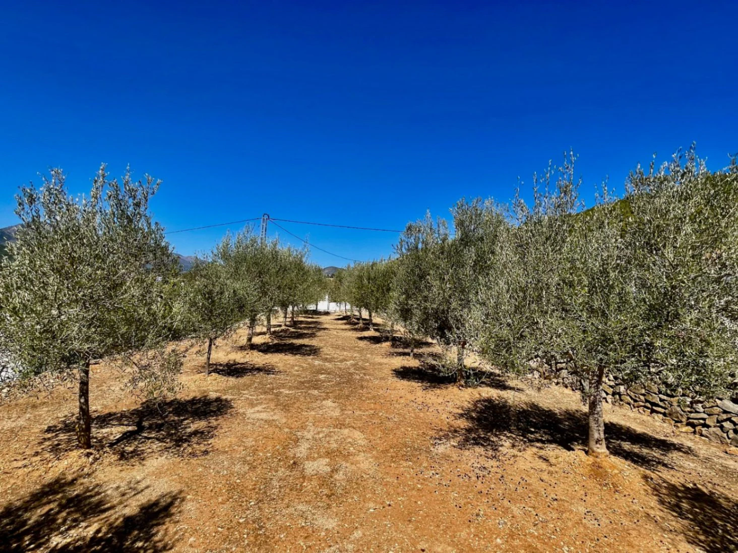 Finca/Villa zu verkaufen in Lliber: Atemberaubende Aussicht
