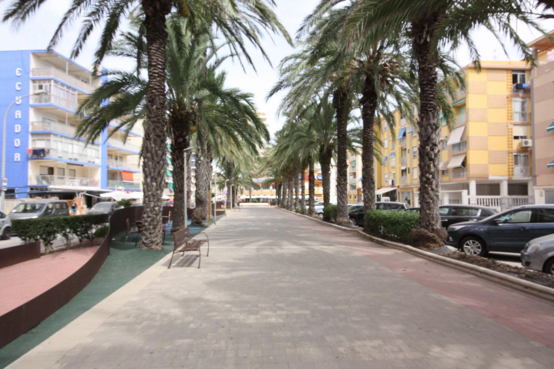 EDIFICIO VENECIA II