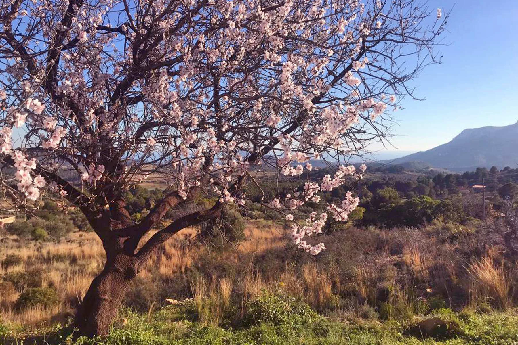 Maravillosa Villa en Benissa con vistas de ensueño