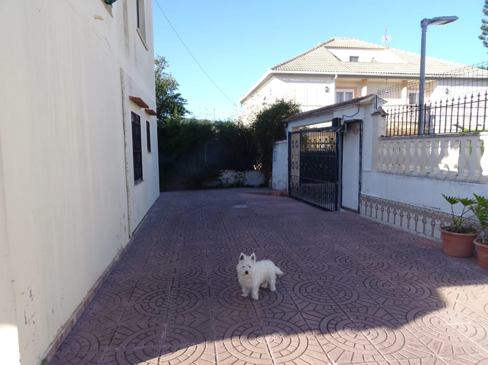 Precioso chalet en la Playa de Gandía