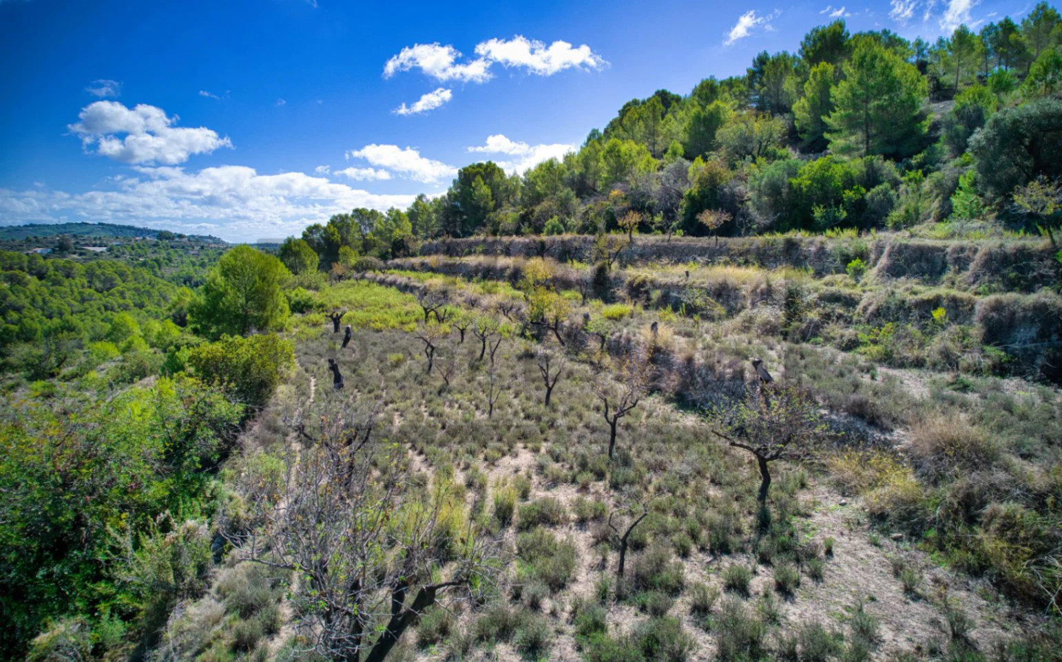 Rustiek land te koop in Benissa