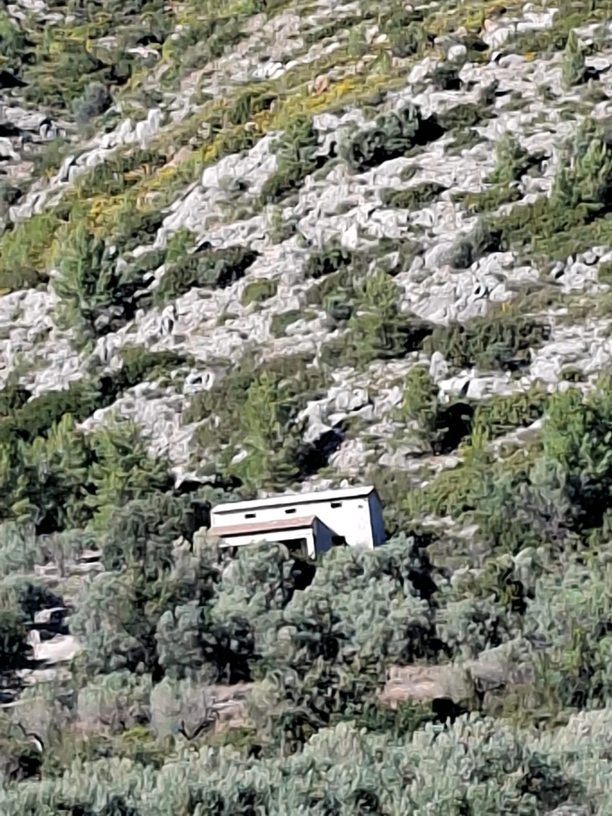 Landhuis met groot perceel in de natuur - Benigembla
