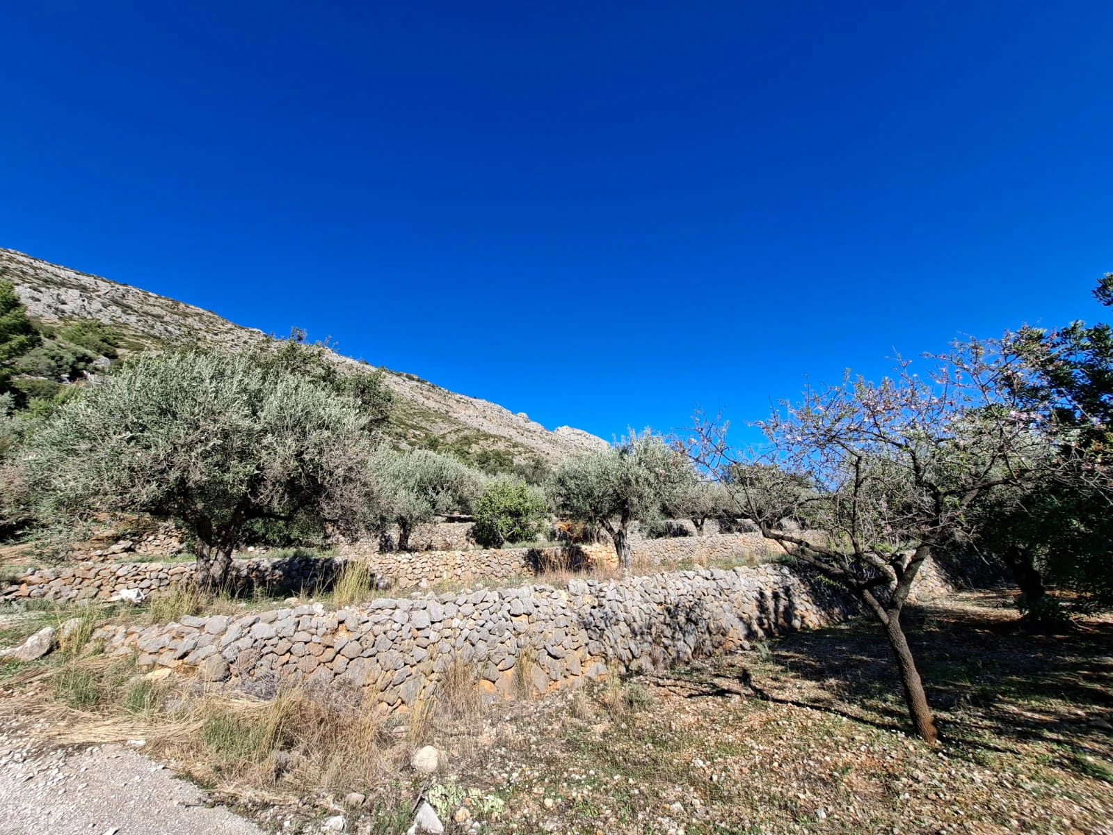 Landhuis met groot perceel in de natuur - Benigembla