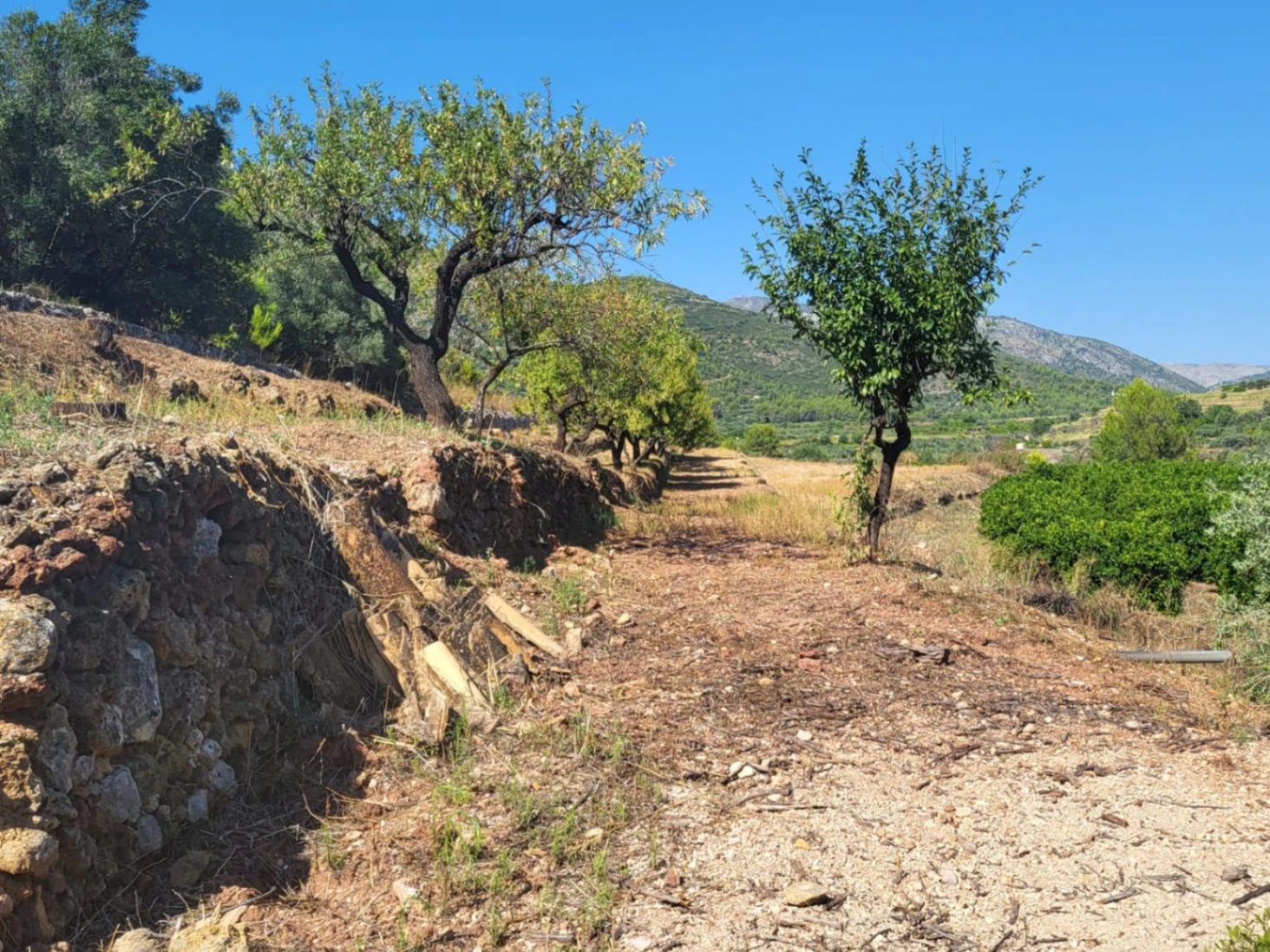 Atractiva parcela de 15.000m2 en venta con Luz y Pozo de agua natural