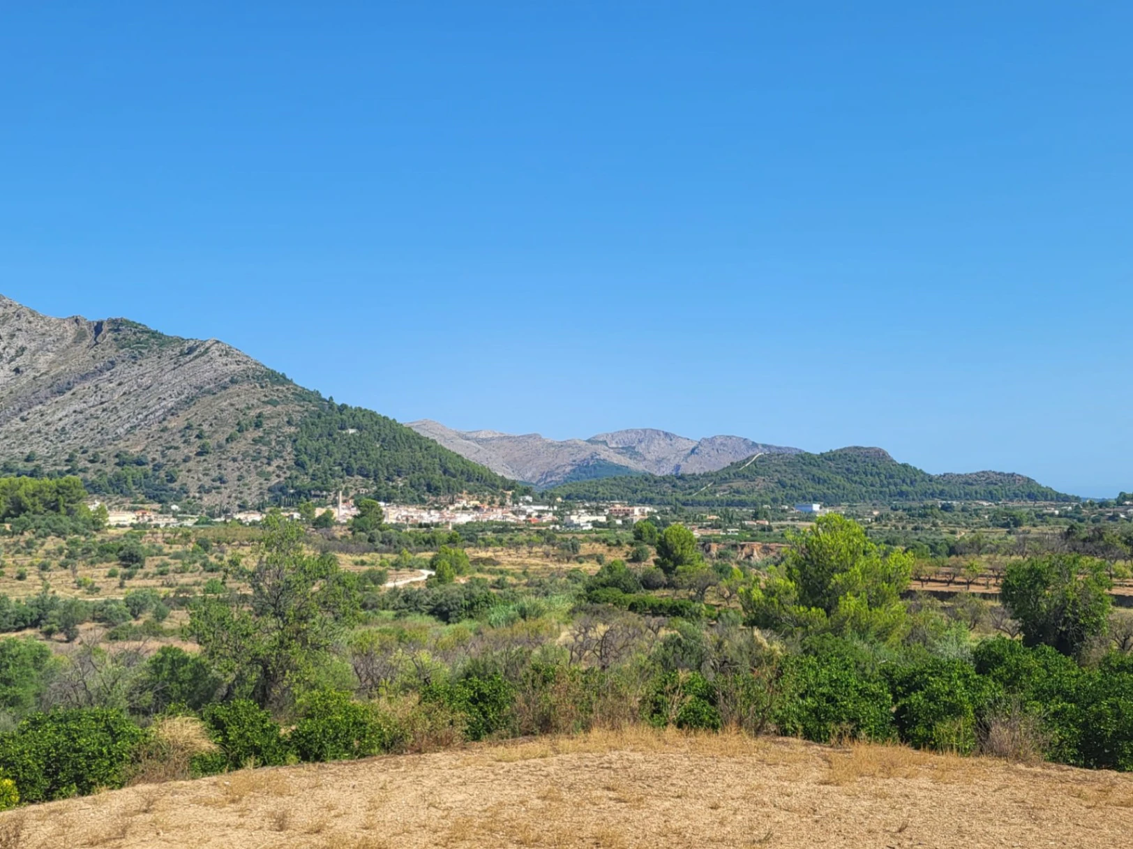 Atractiva parcela de 15.000m2 en venta con Luz y Pozo de agua natural