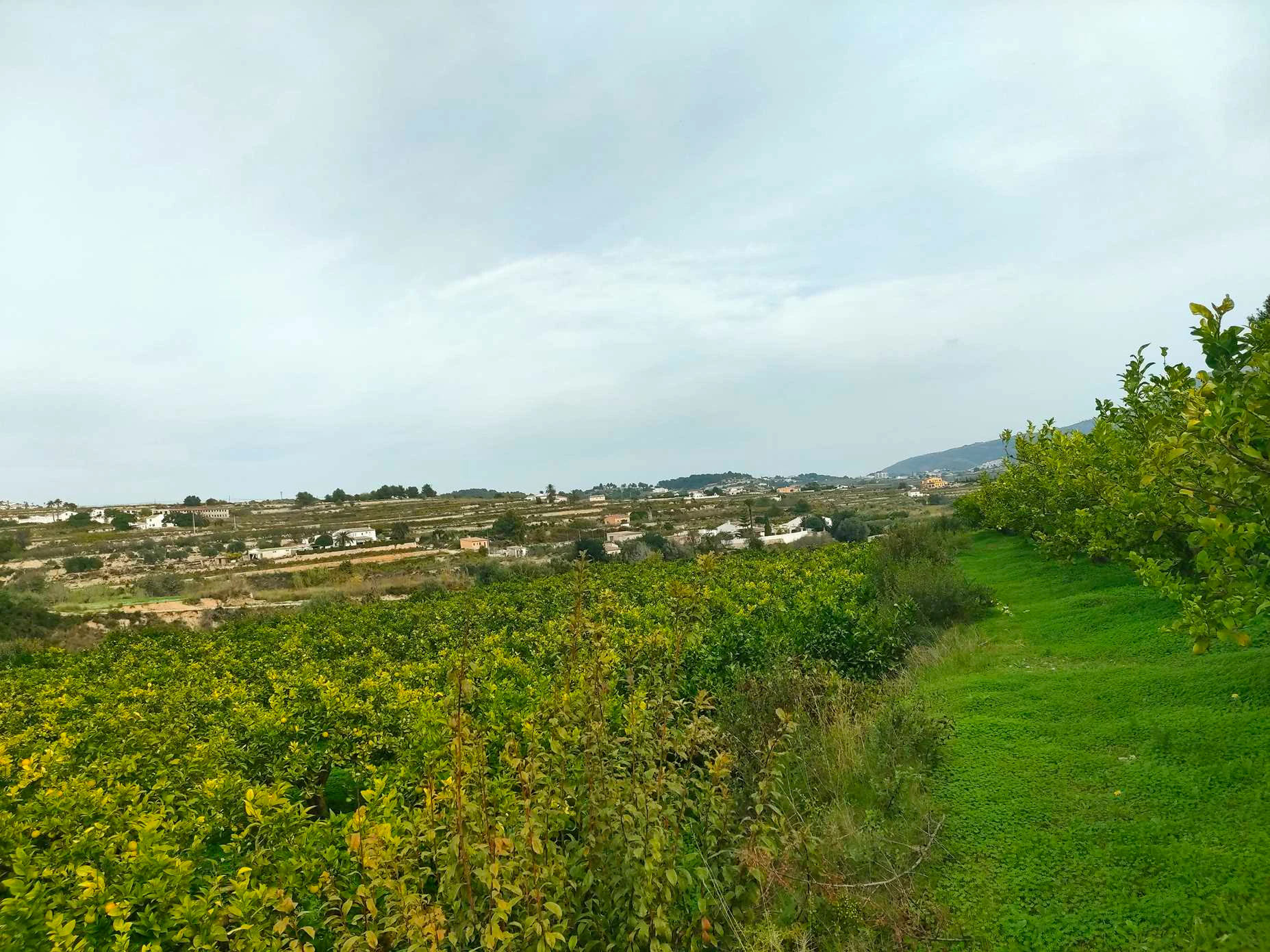 Landhuis - Teulada