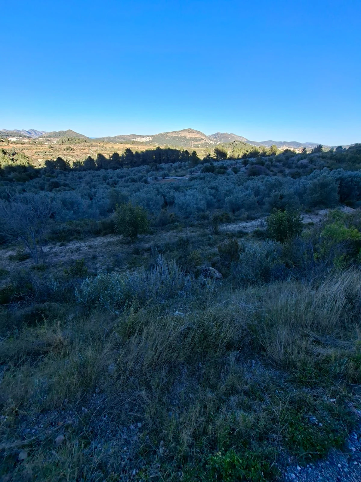 Se venden varias parcelas unificadas con un total de 24158 m² en Benigembla,