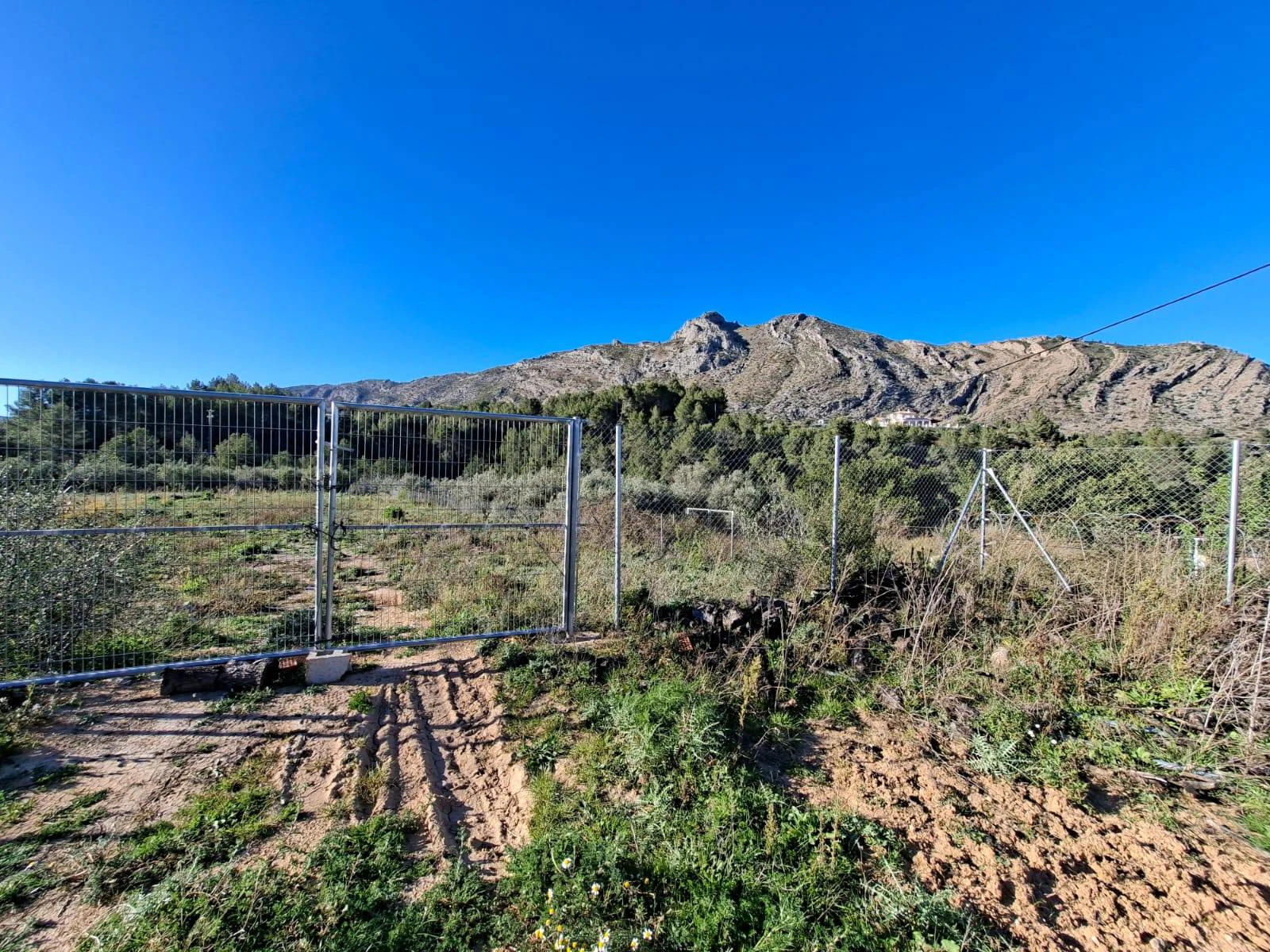 Parcela rústica de 10.400 m² ubicada en Benigembla