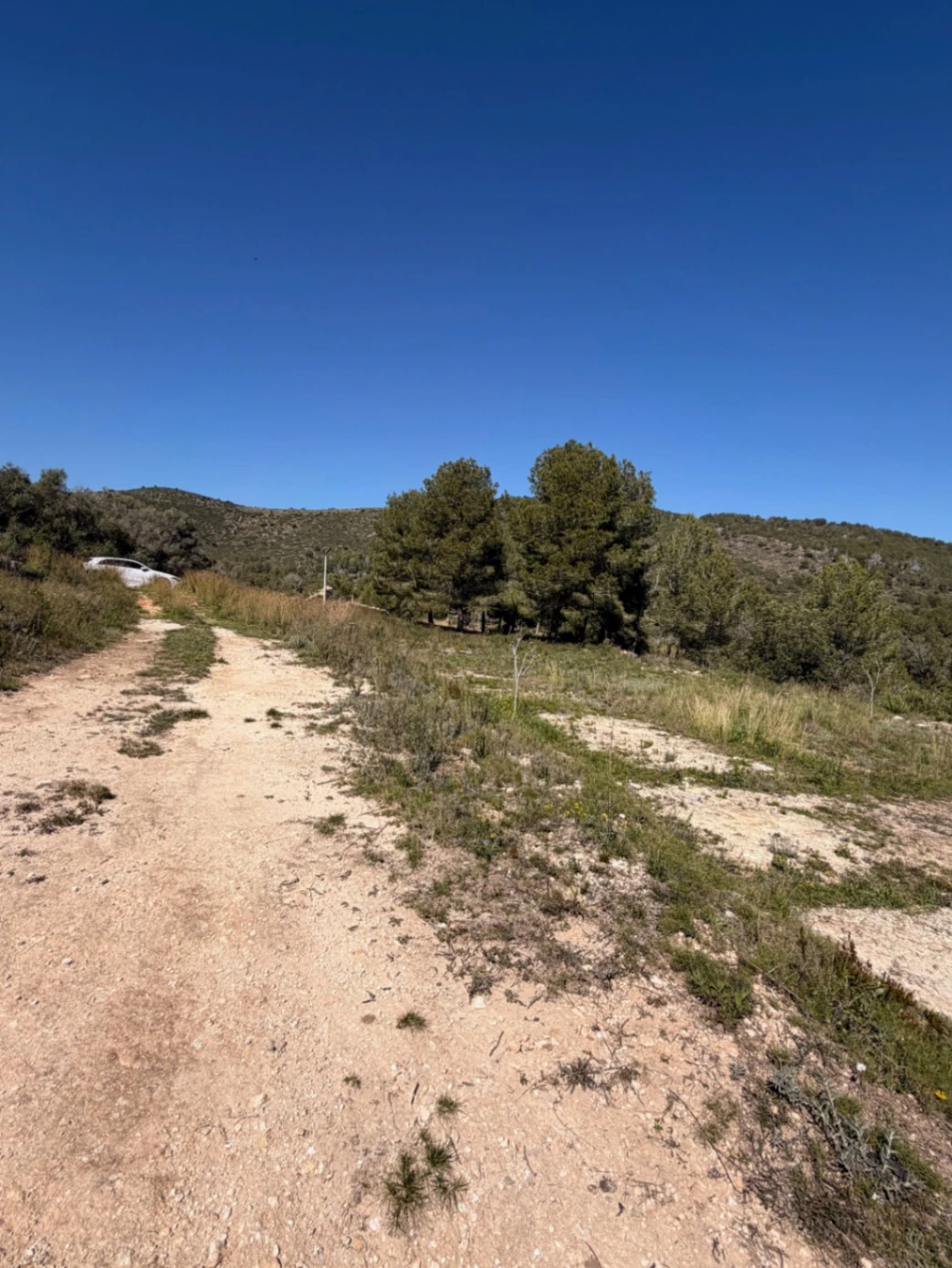 Terreno rústico en venta con vistas al mar en Los Molinos, Benitachell