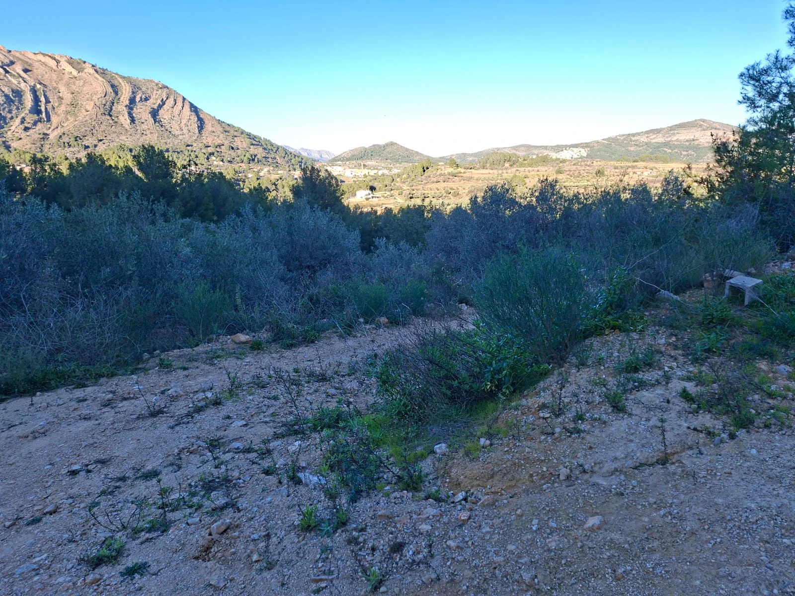 En venta varias parcelas unificadas con un total de 10.631 m² en Benigembla