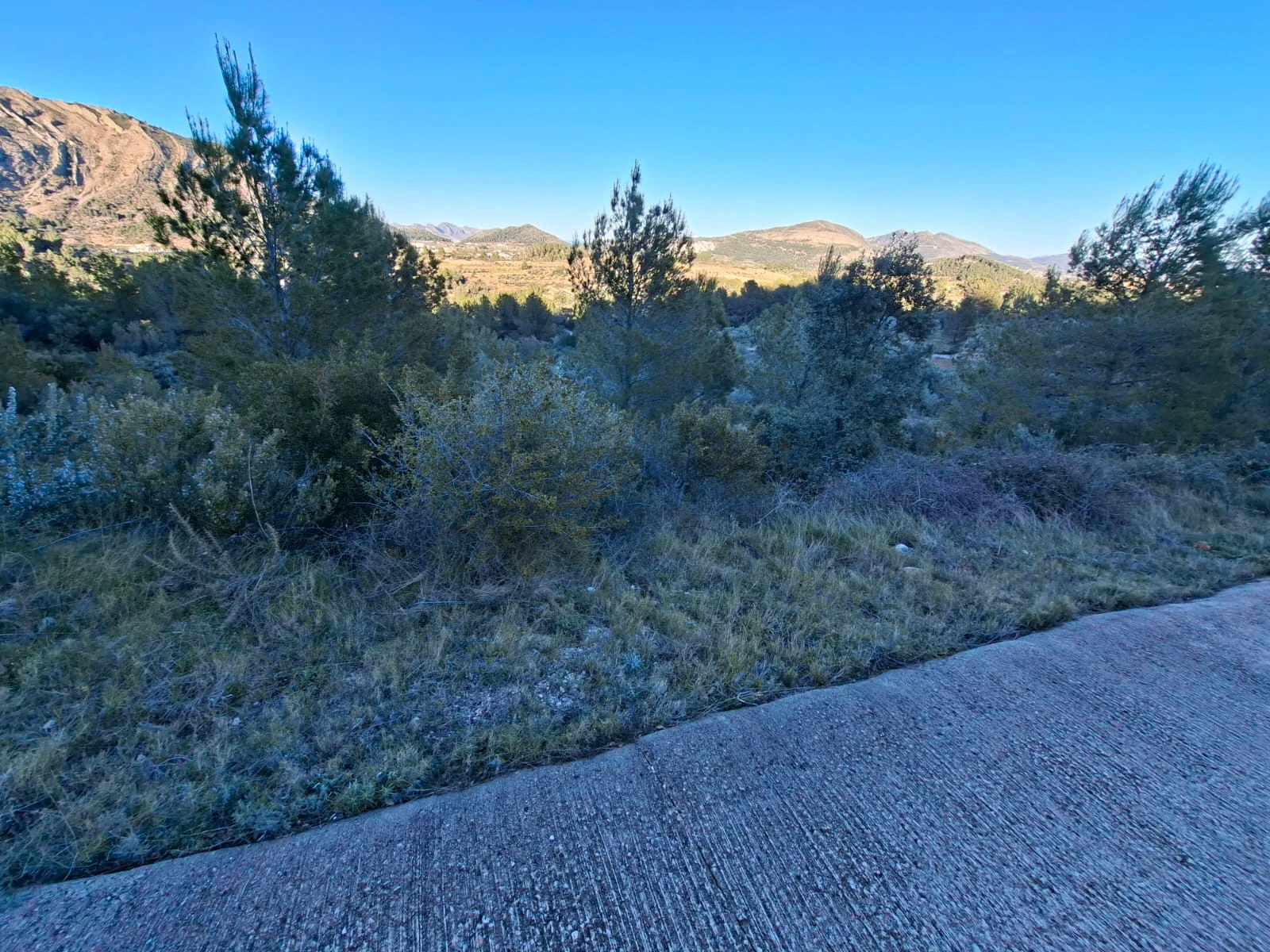 Se venden varias parcelas unificadas con un total de 24158 m² en Benigembla,