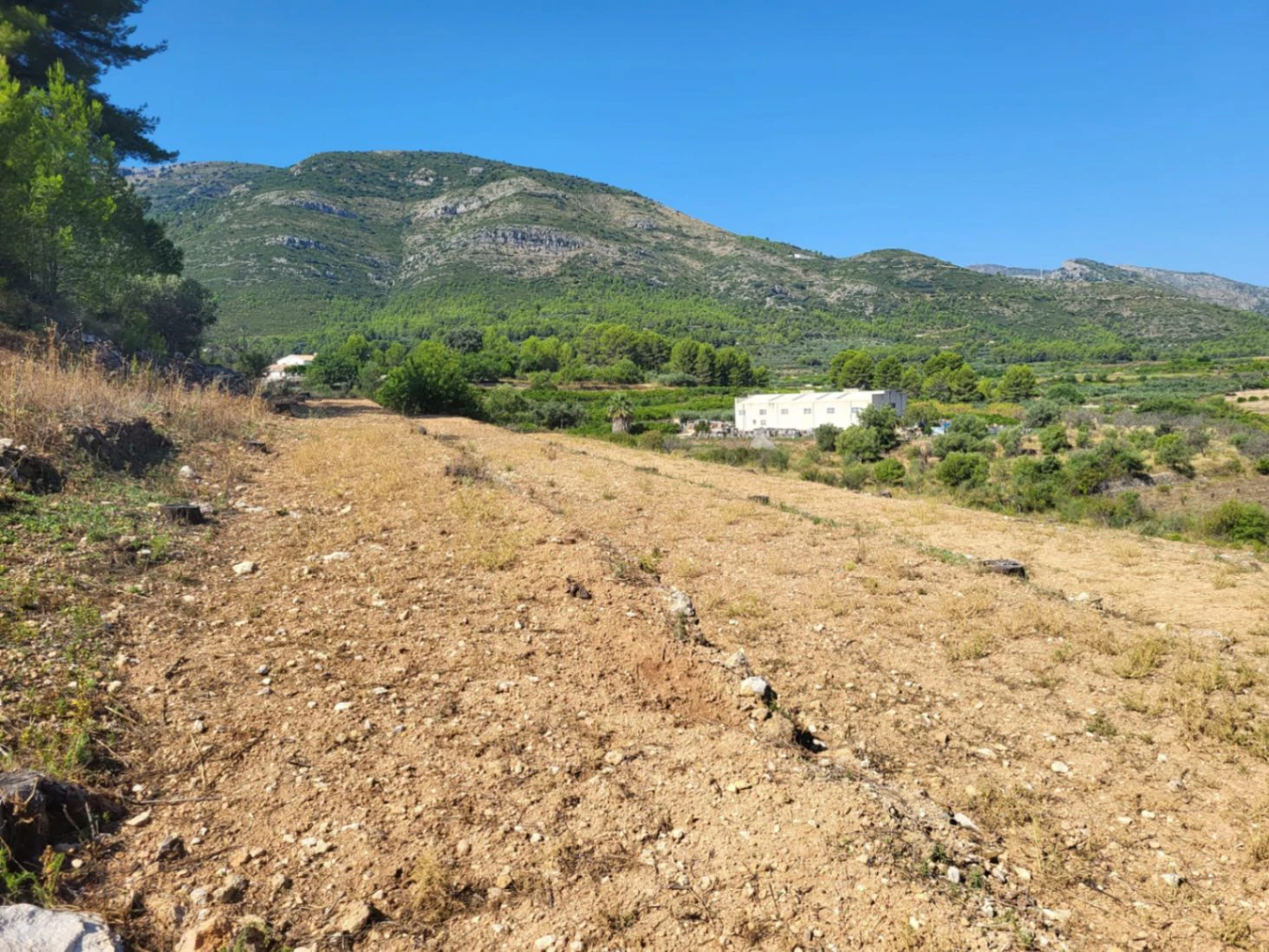 Atractiva parcela de 15.000m2 en venta con Luz y Pozo de agua natural