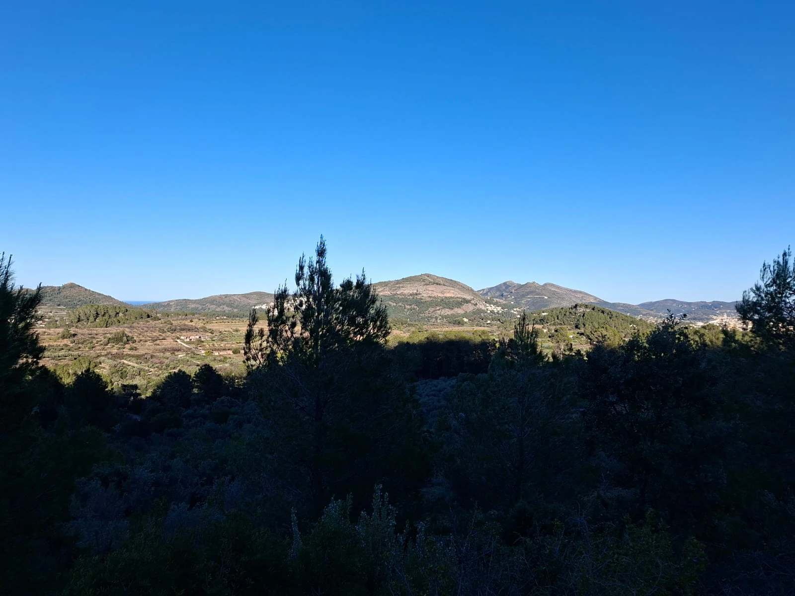 Se venden varias parcelas unificadas con un total de 24158 m² en Benigembla,