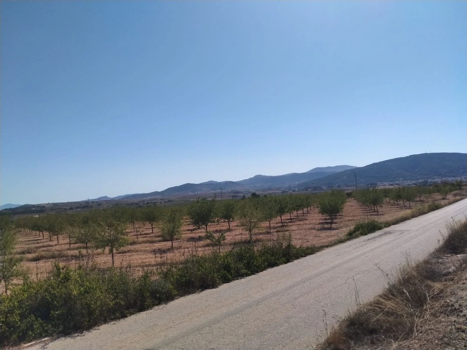 Villa de Obra Nueva Llave en Mano en Pinoso – Exclusividad, Espacio y Confort en Plena Naturaleza