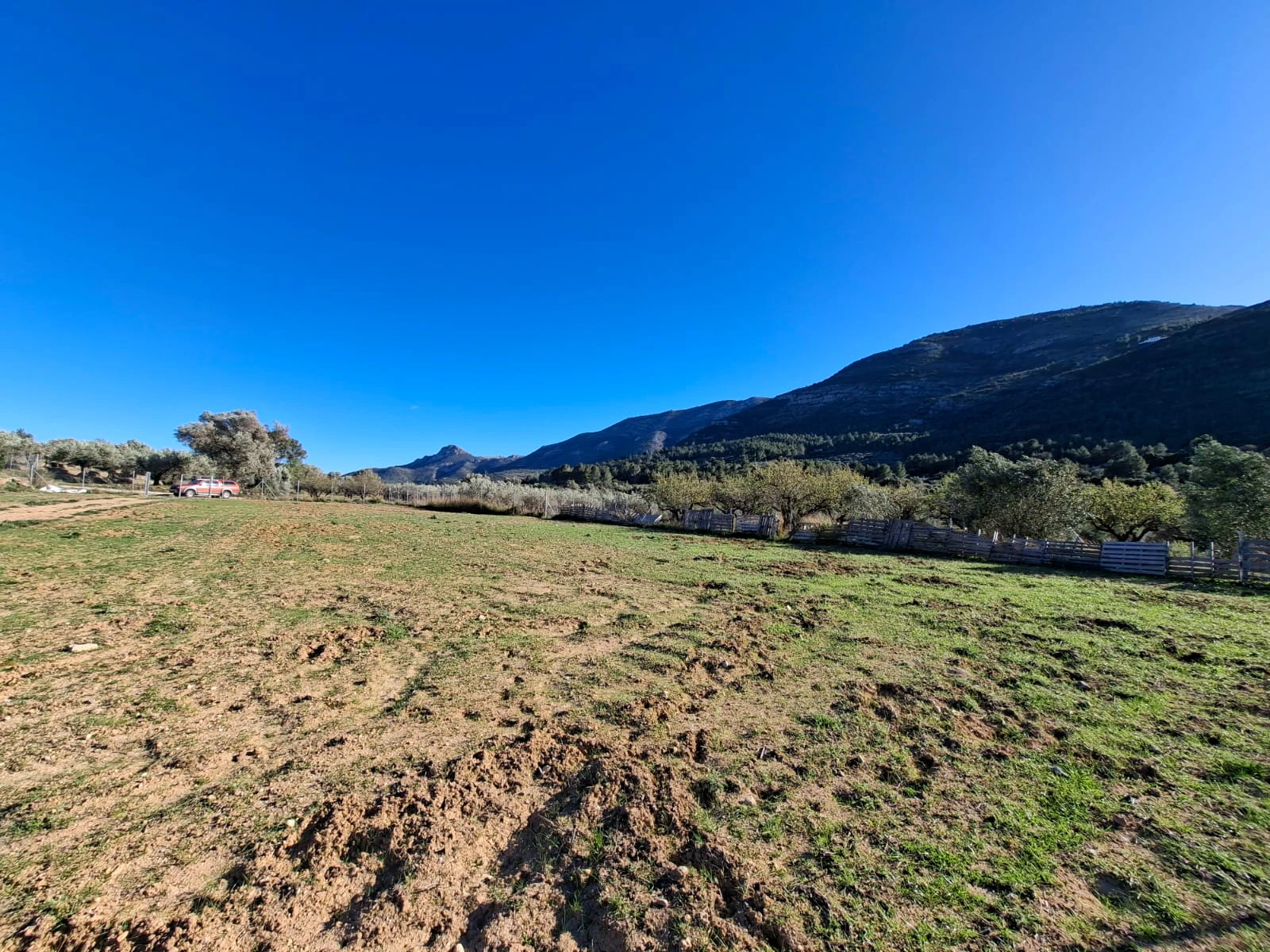 Parcela rústica de 10.400 m² ubicada en Benigembla