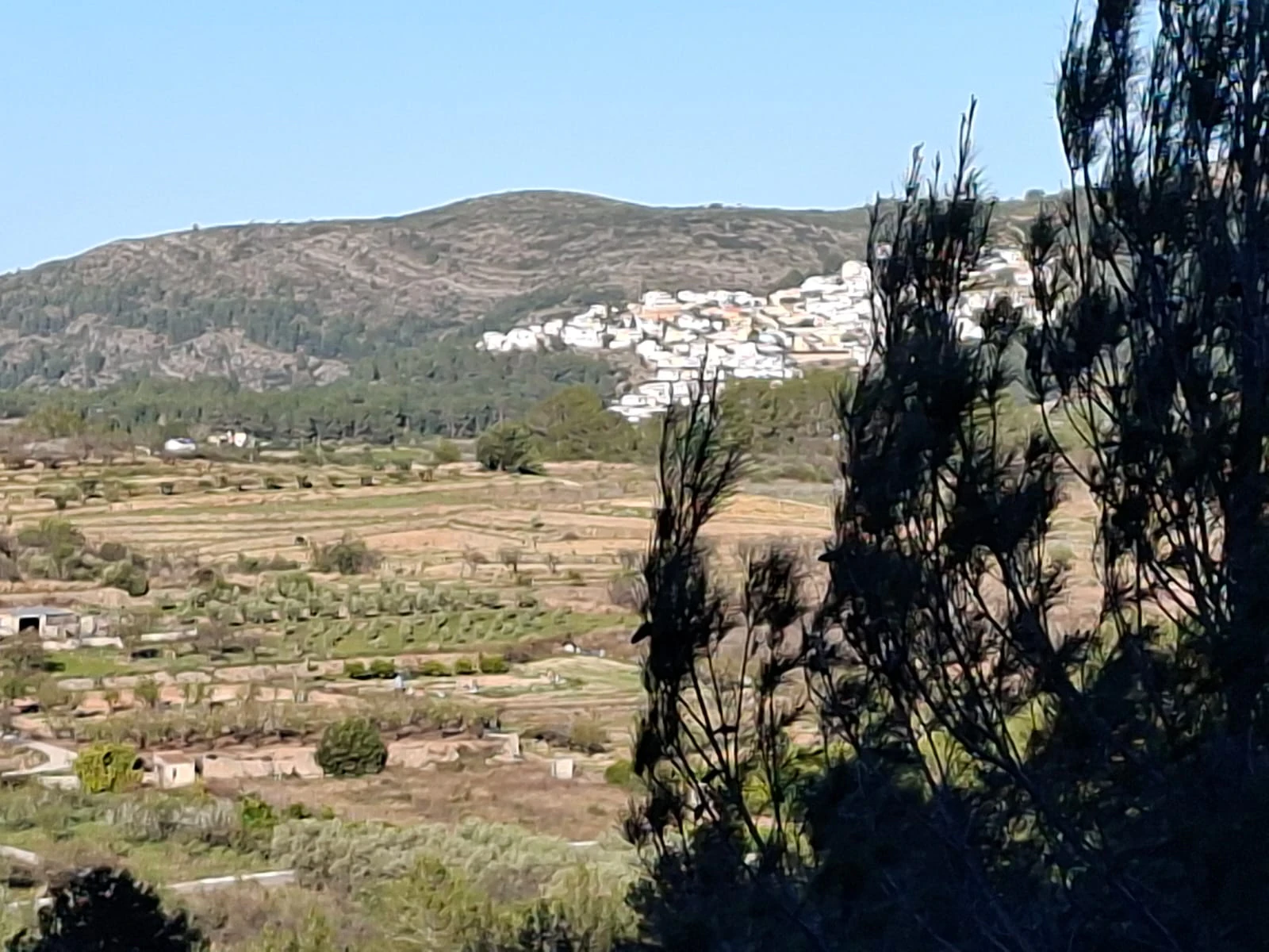 Se venden varias parcelas unificadas con un total de 24158 m² en Benigembla,