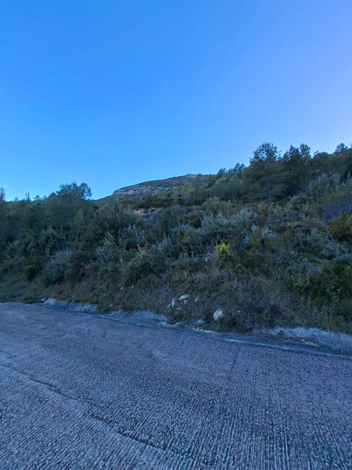 Se venden varias parcelas unificadas con un total de 24158 m² en Benigembla,