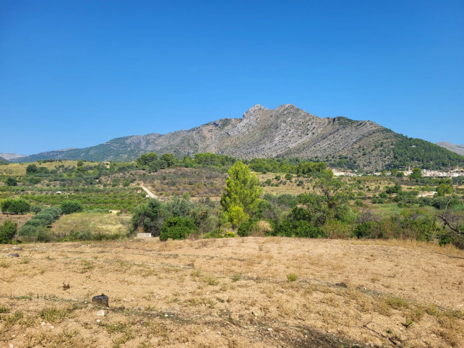 Atractiva parcela de 15.000m2 en venta con Luz y Pozo de agua natural
