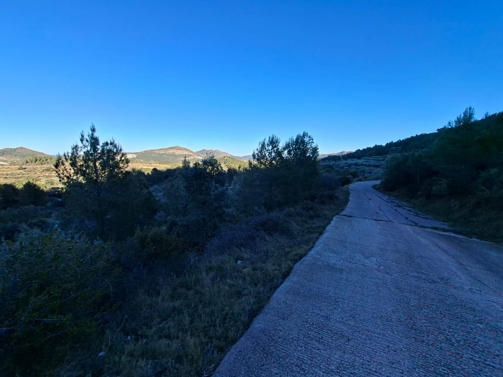 Se venden varias parcelas unificadas con un total de 24158 m² en Benigembla,