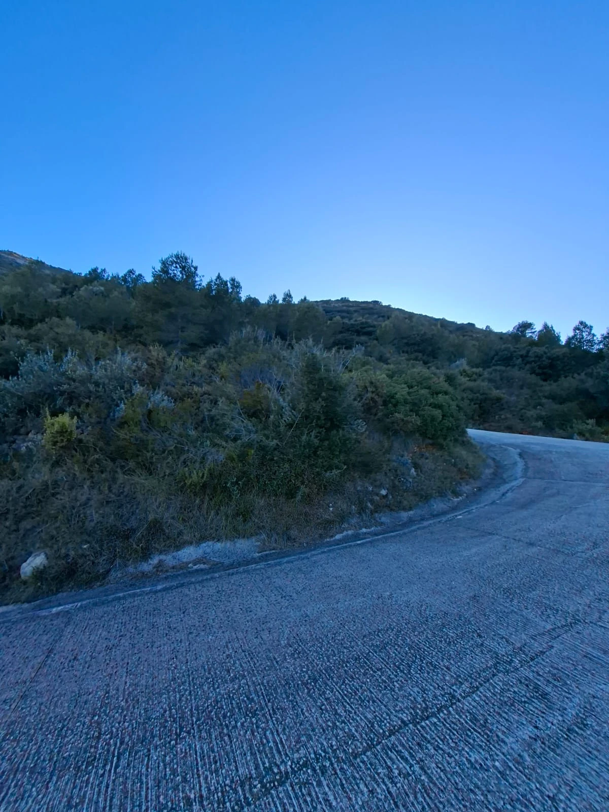 Se venden varias parcelas unificadas con un total de 24158 m² en Benigembla,