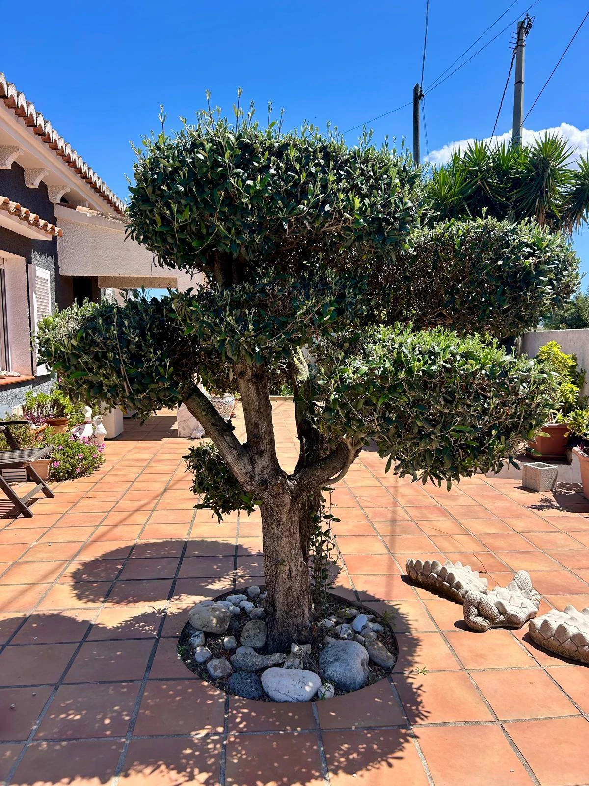Casa de campo en una sola planta con encanto mediterráneo - El Vergel