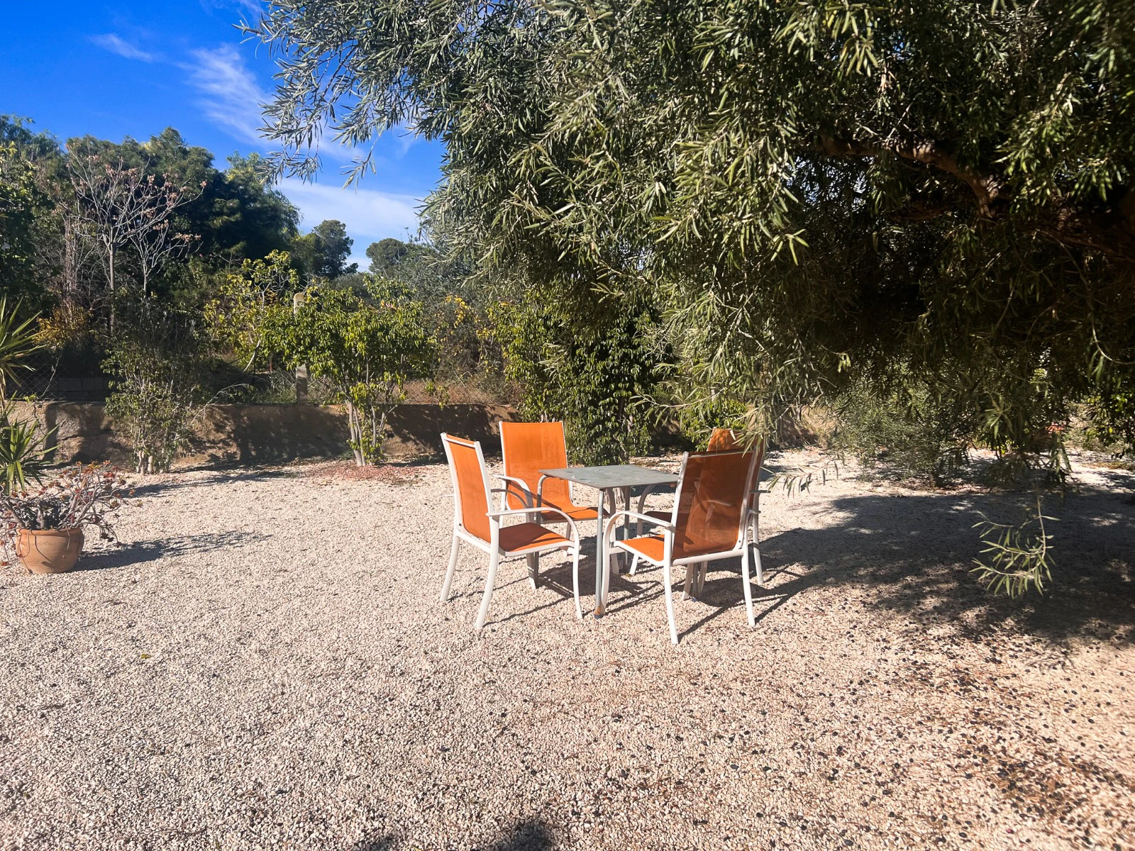 Finca te verkoop in Alicante