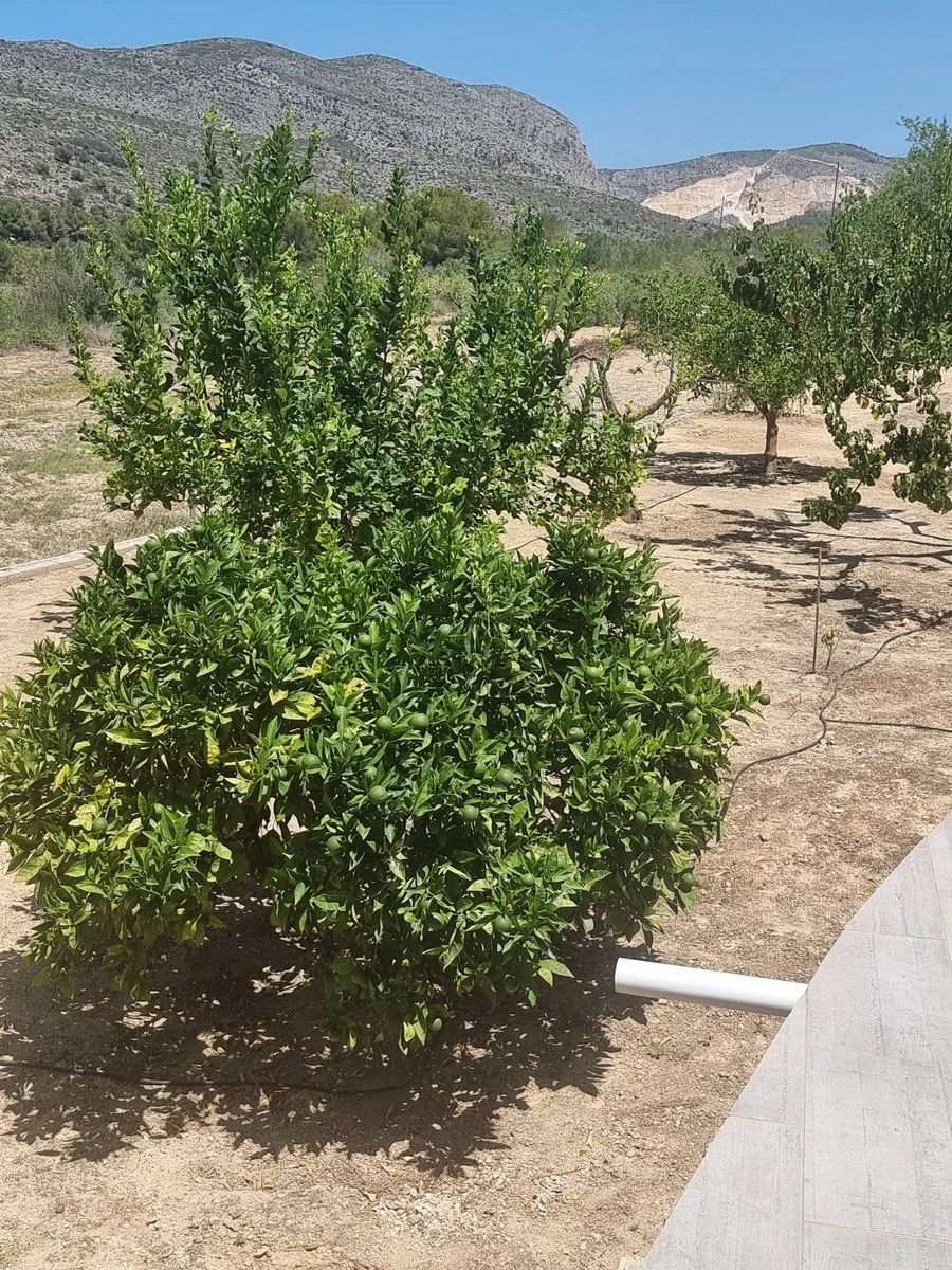 Betoverende finca in Benissa: natuur, privacy en de authentieke mediterraanse stijl.