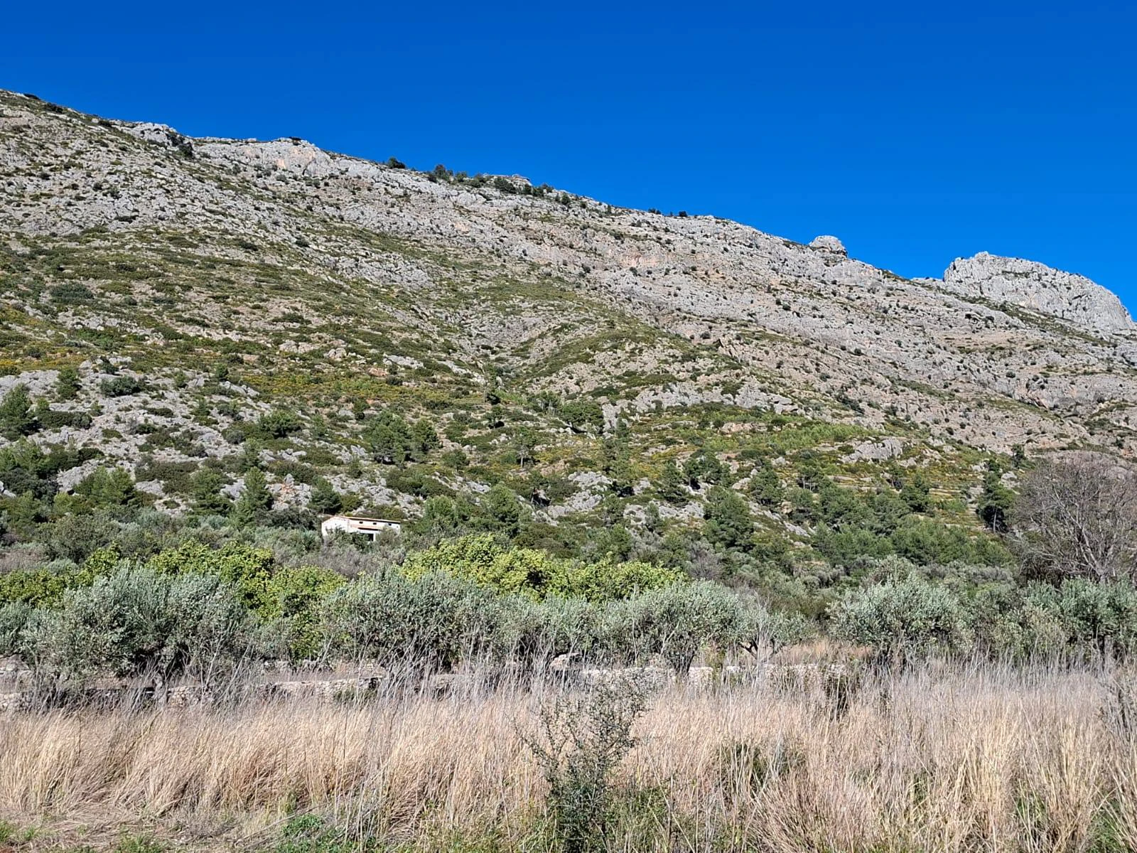 Landhuis met groot perceel in de natuur - Benigembla