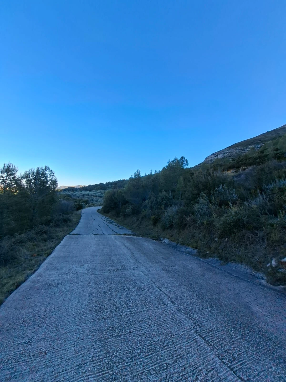 Se venden varias parcelas unificadas con un total de 24158 m² en Benigembla,