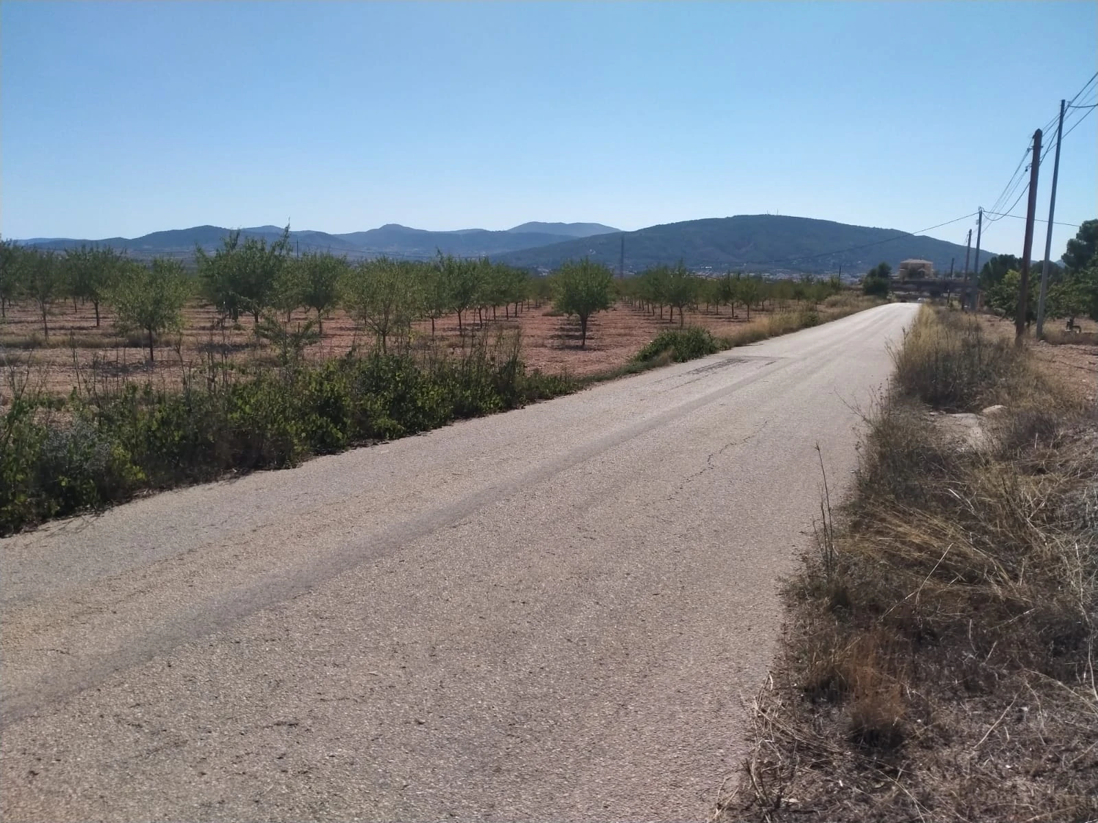 Villa de Obra Nueva Llave en Mano en Pinoso – Exclusividad, Espacio y Confort en Plena Naturaleza