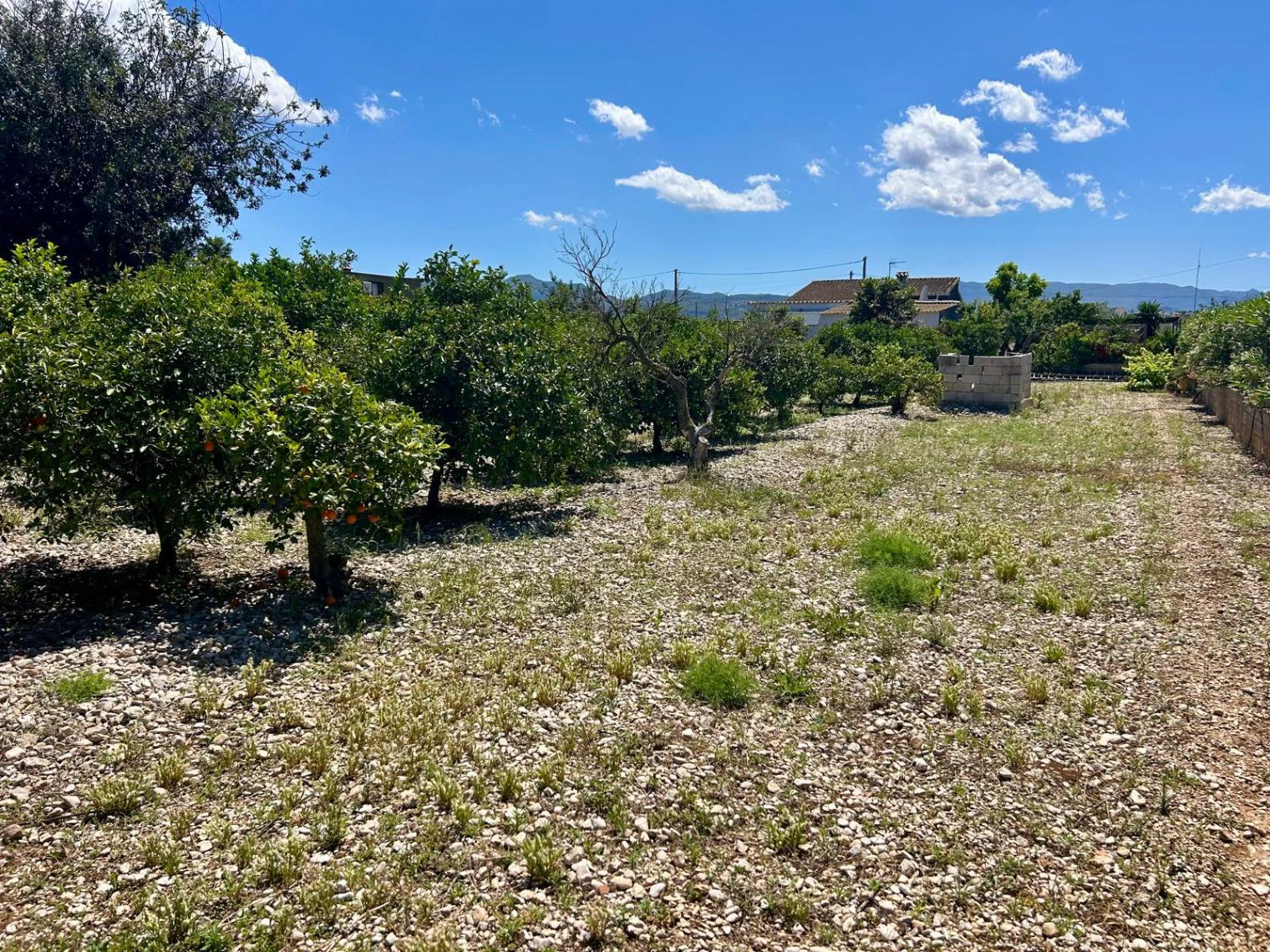 Casa de campo en una sola planta con encanto mediterráneo - El Vergel