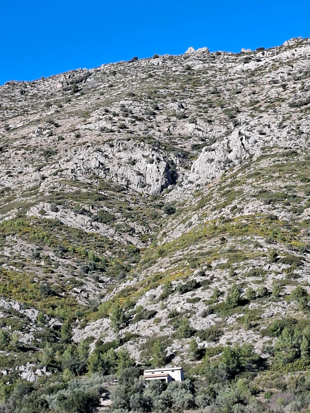 Landhuis met groot perceel in de natuur - Benigembla