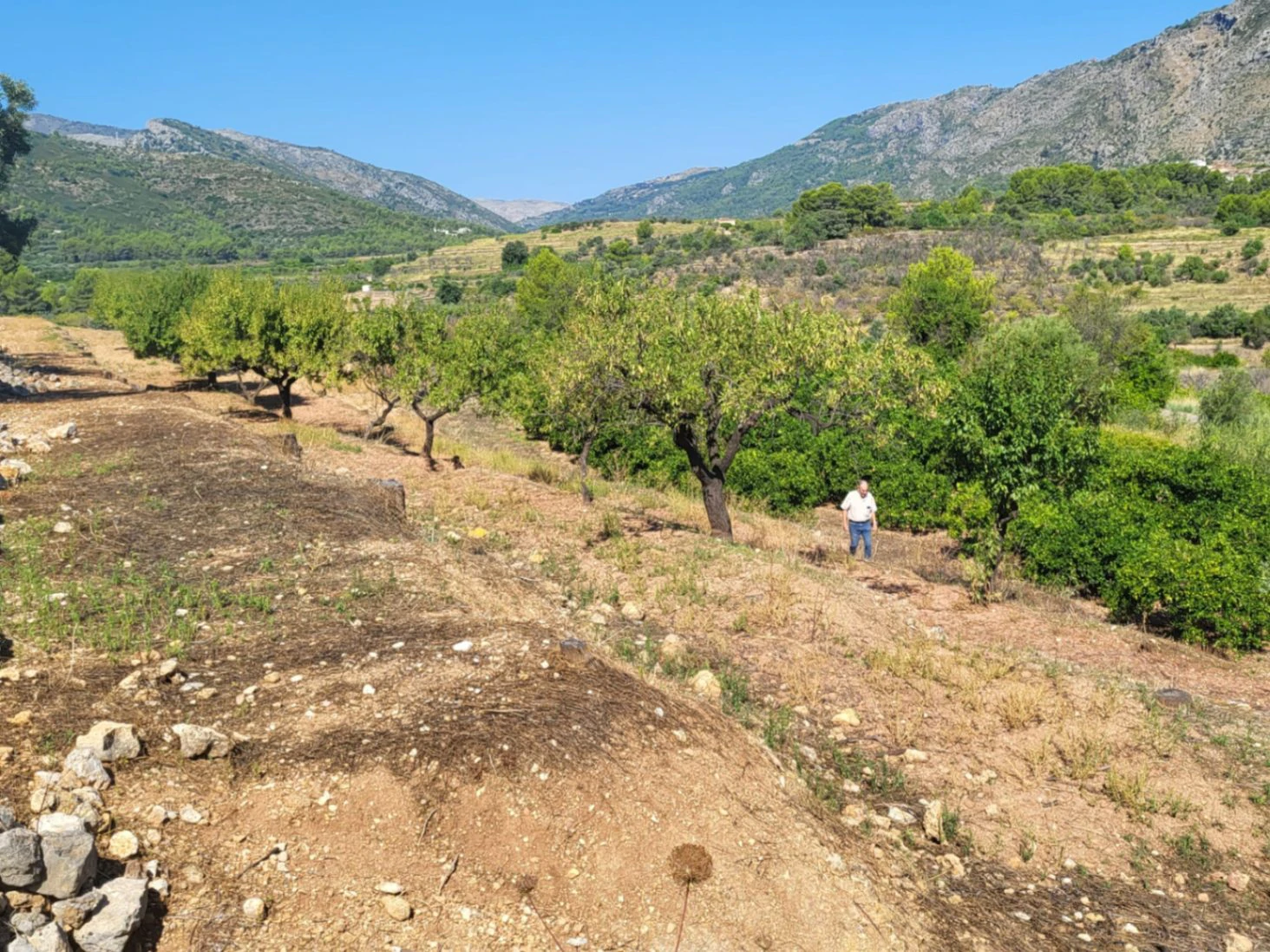 Atractiva parcela de 15.000m2 en venta con Luz y Pozo de agua natural