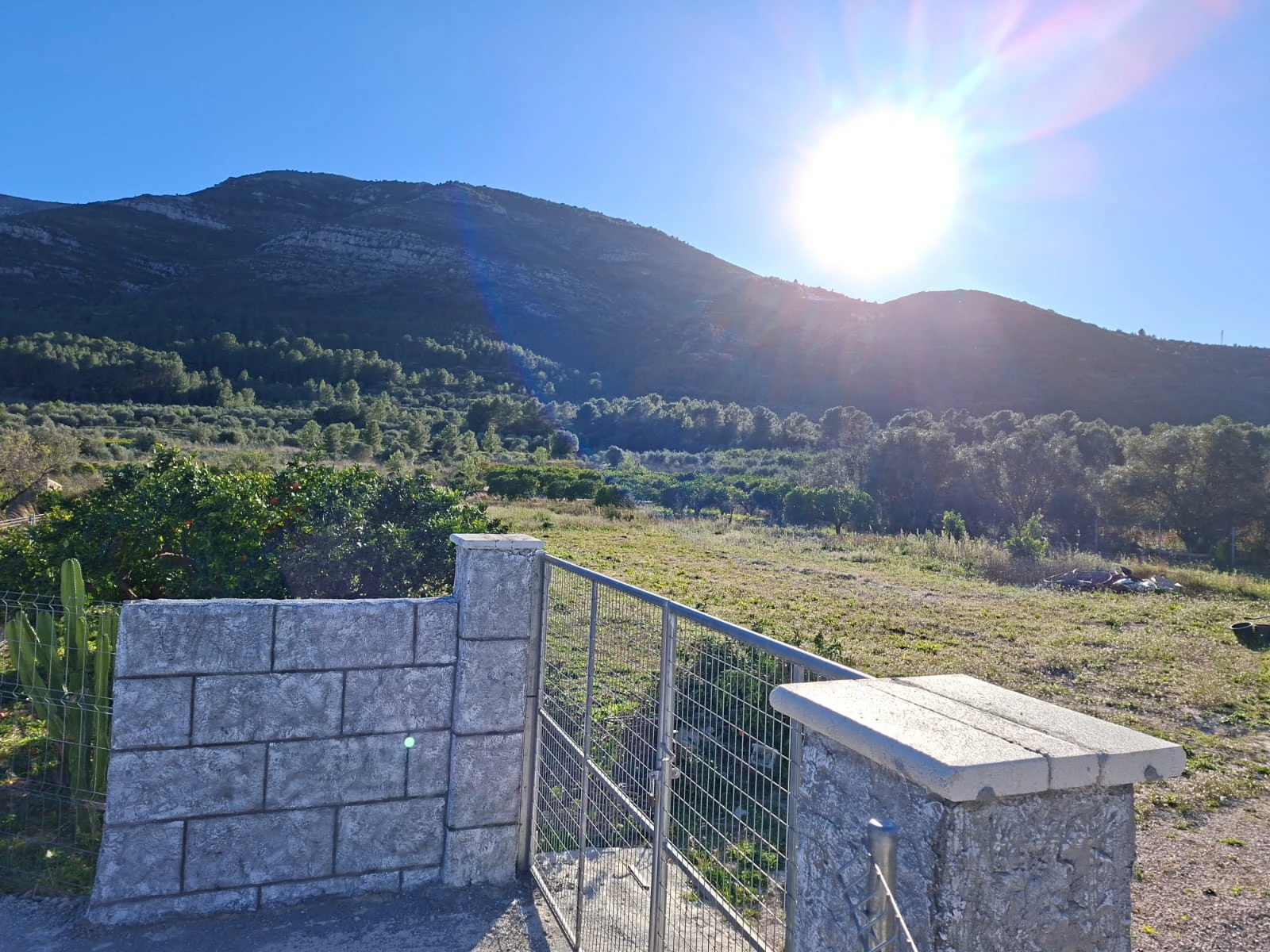 Se venden varias parcelas unificadas con un total de 24158 m² en Benigembla,