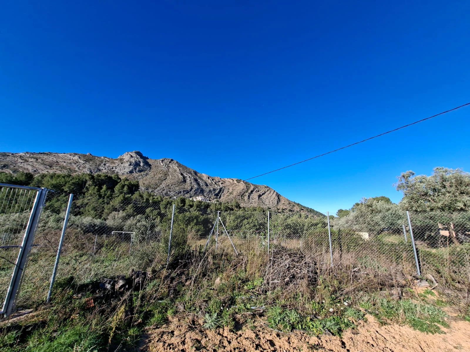 Parcela rústica de 10.400 m² ubicada en Benigembla