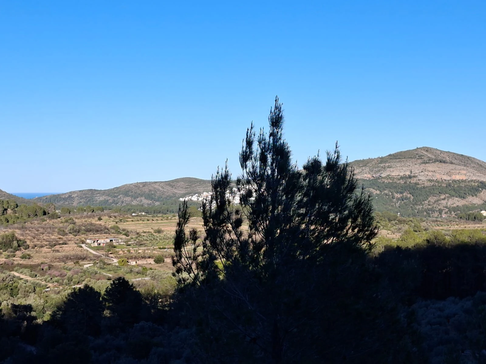 Se venden varias parcelas unificadas con un total de 24158 m² en Benigembla,