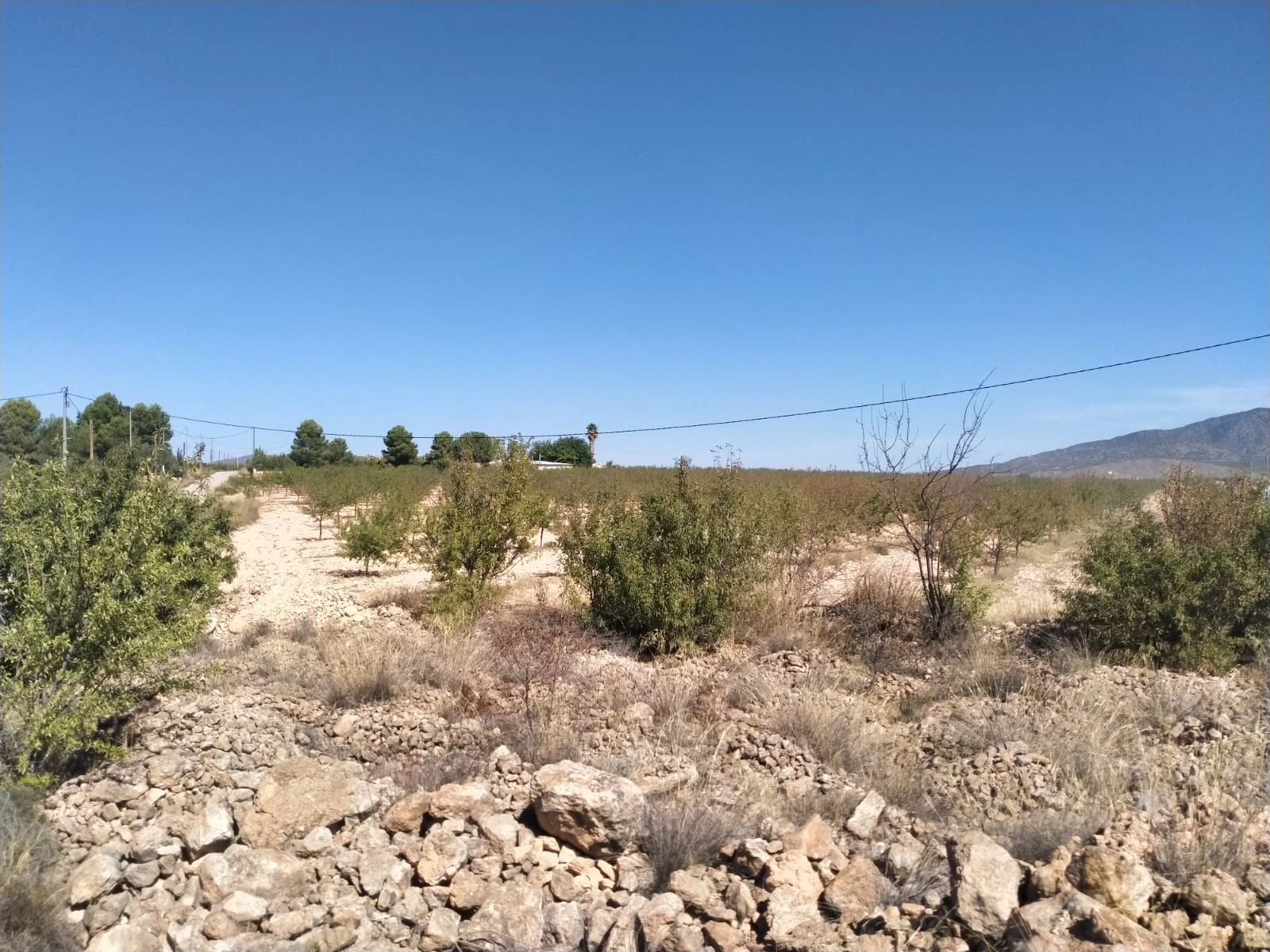Villa de Obra Nueva Llave en Mano en Pinoso – Exclusividad, Espacio y Confort en Plena Naturaleza