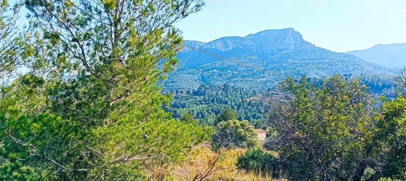 Parcela en Benissa