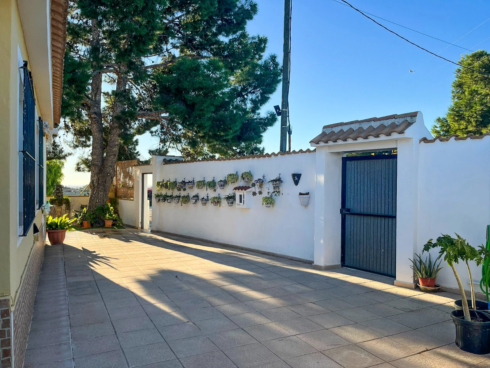 Finca en venta en Alicante
