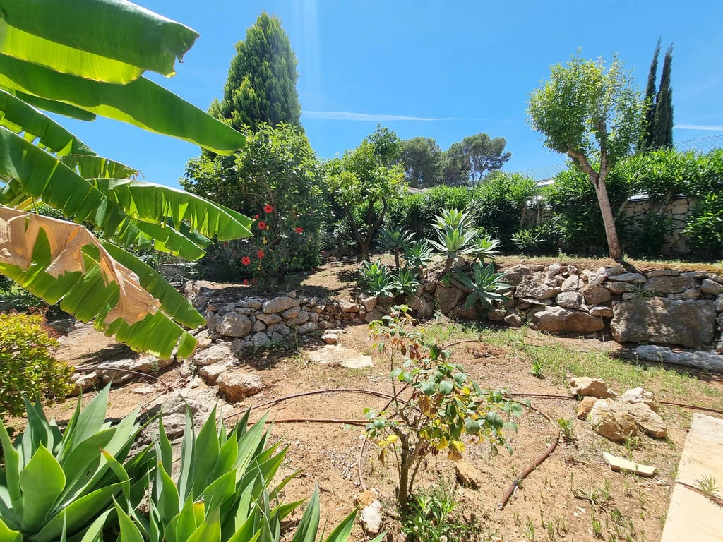 Finca en Pedreguer