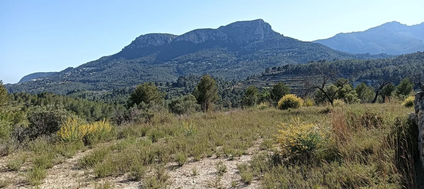 Parcela en Benissa