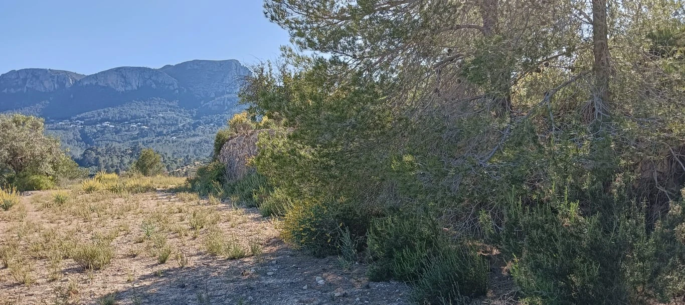 Parcela en Benissa