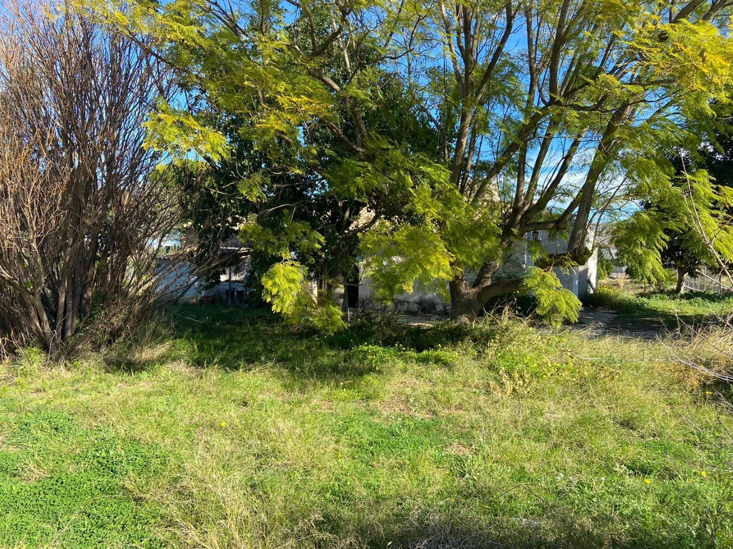 V1 - Finca rustica en venta en Pedreguer