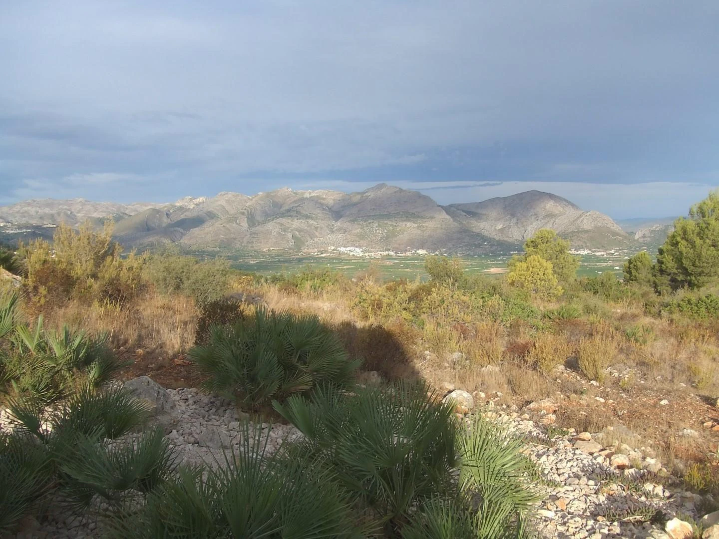 PL20 - Parcelas / Terrenos en venta en Benidoleig