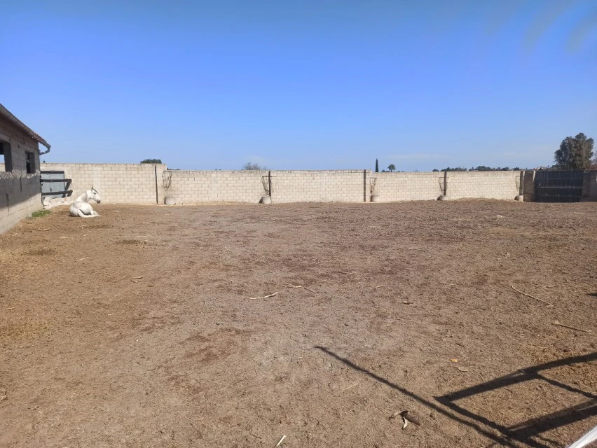 PL18 - Parcela soleada de 14.531 m2 en Ondara