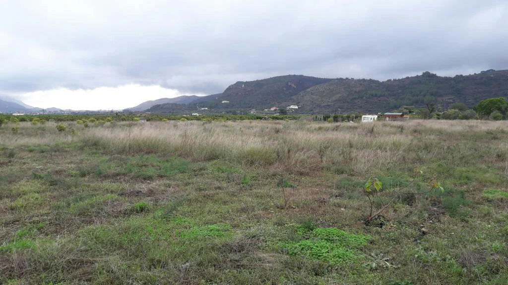 PL17 - Parcela en venta en Benidoleig